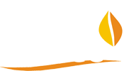 Sauco Diseño Web